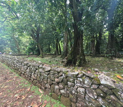 picture of Moorea 4x4 Tour
 FPoly2025