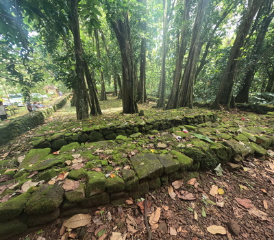 picture of Moorea 4x4 Tour
 FPoly2025