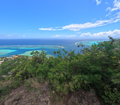 picture of Moorea 4x4 Tour
 FPoly2025