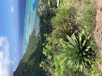 picture of Moorea 4x4 Tour
 FPoly2025