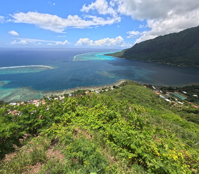 picture of Moorea 4x4 Tour
 FPoly2025