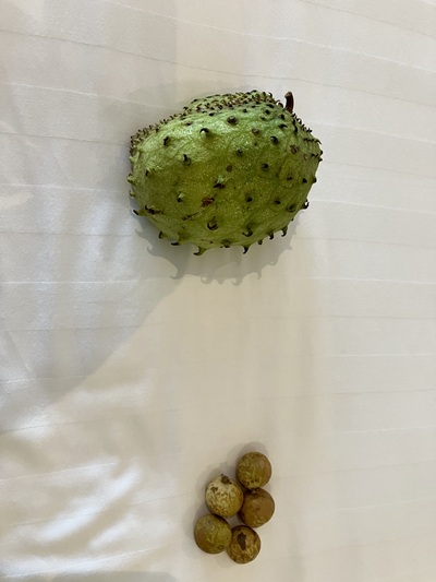 picture of Moorea Cooks Bay
 FPoly2025