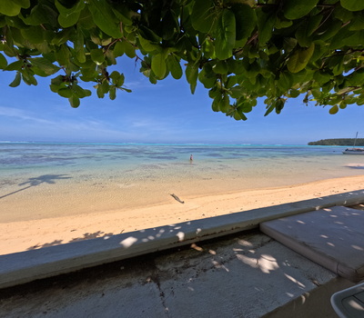 picture of Moorea Beach Lodge
 FPoly2025