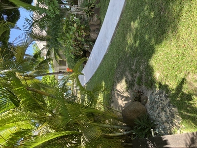 picture of Moorea Beach Lodge
 FPoly2025