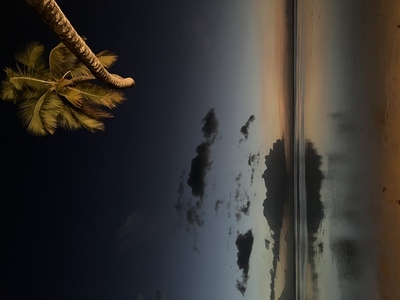 picture of Moorea Beach Lodge
 FPoly2025