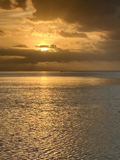 picture of Moorea Beach Lodge
 FPoly2025