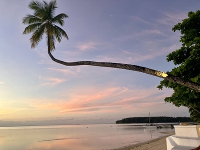 picture of Moorea Beach Lodge
 FPoly2025