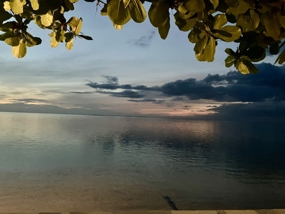 picture of Moorea Beach Lodge
 FPoly2025