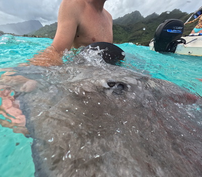 picture of Moorea Snorkling
 FPoly2025