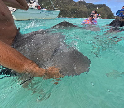 picture of Moorea Snorkling
 FPoly2025