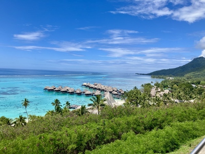 picture of Moorea Temae Beach
 FPoly2025