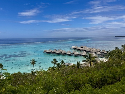 picture of Moorea Temae Beach
 FPoly2025