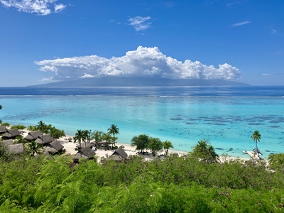 picture of Moorea Temae Beach
 FPoly2025