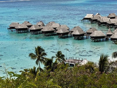 picture of Moorea Temae Beach
 FPoly2025