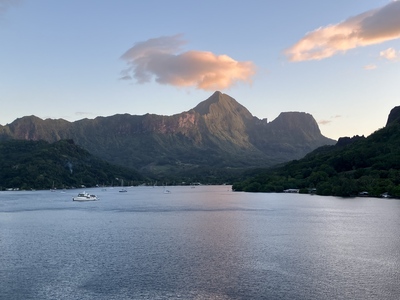 picture of The Paul Gauguin
 FPoly2025