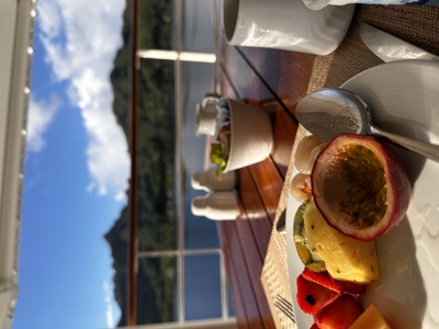 picture of The Paul Gauguin
 FPoly2025