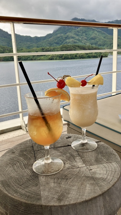 picture of The Paul Gauguin
 FPoly2025