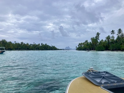 picture of Tahaa
 FPoly2025