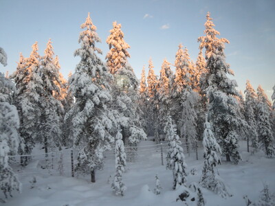 picture of Lapland December 2014
 Finland
