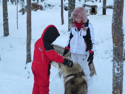 picture of Lapland December 2014
 Finland