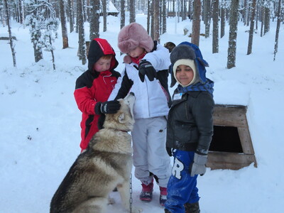 picture of Lapland December 2014
 Finland