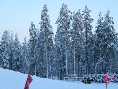 picture of Lapland December 2014
 Finland