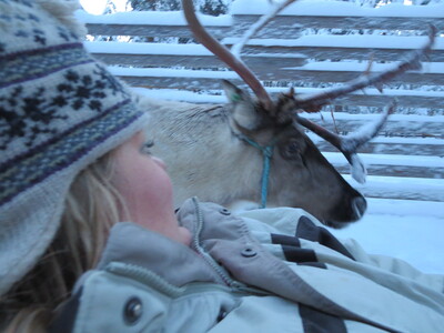 picture of Lapland December 2014
 Finland