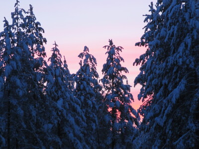 picture of Lapland December 2014
 Finland