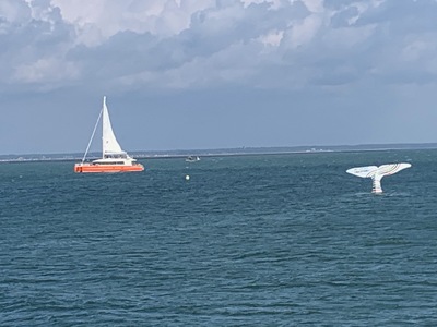 picture of Arachon Beach
 France