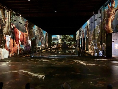 picture of Bassins des Lumieres Bordeaux
 France