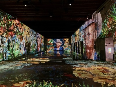 picture of Bassins des Lumieres Bordeaux
 France