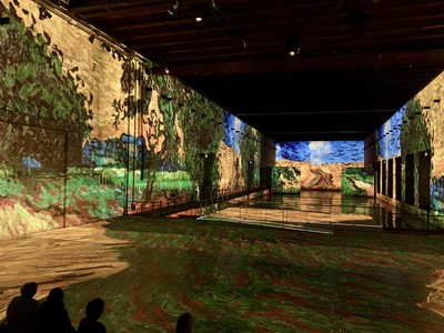 picture of Bassins des Lumieres Bordeaux
 France