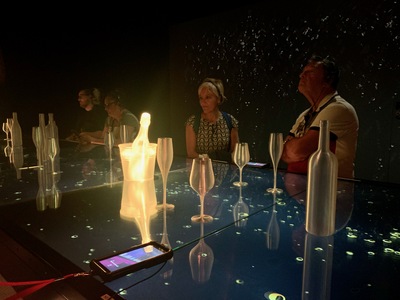 picture of Bordeaux Wine Museum
 France