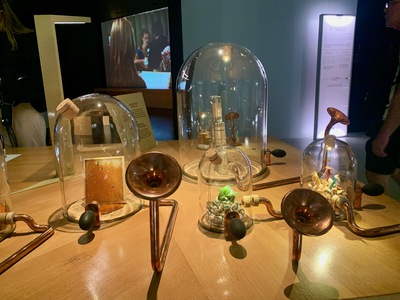picture of Bordeaux Wine Museum
 France