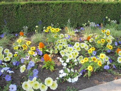picture of Disneyland Paris 2011
 France