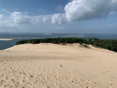 picture of La Dune du Pilat
 France