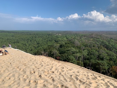 picture of La Dune du Pilat
 France