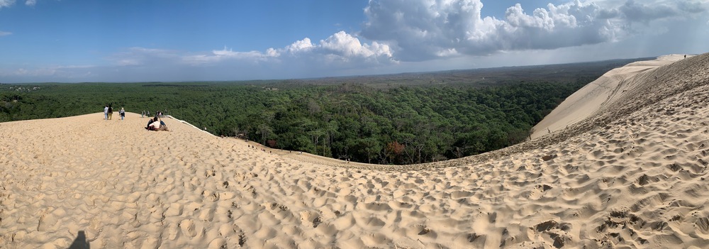 picture of La Dune du Pilat
 France
