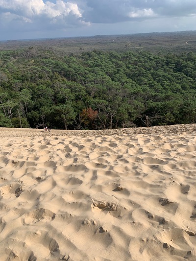 picture of La Dune du Pilat
 France