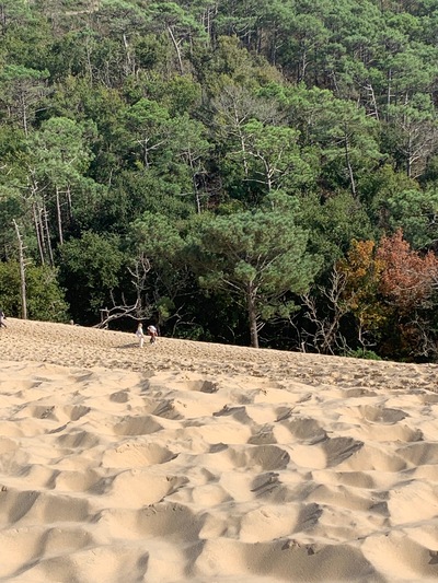 picture of La Dune du Pilat
 France