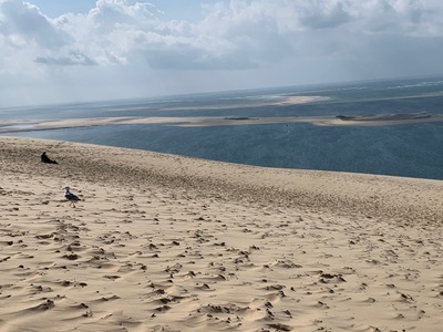 picture of La Dune du Pilat
 France