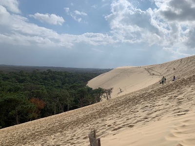picture of La Dune du Pilat
 France