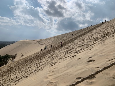 picture of La Dune du Pilat
 France