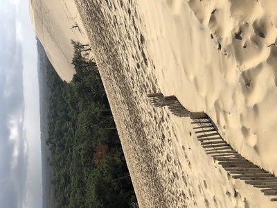 picture of La Dune du Pilat
 France