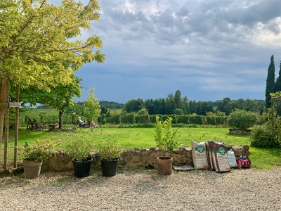 picture of Les Salle de Castillon
 France