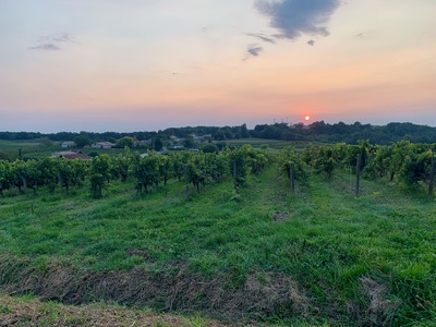 picture of Les Salle de Castillon
 France