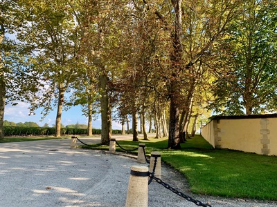 picture of Medoc
 France
