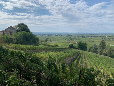 picture of Chateau Pressac St Emilion
 France