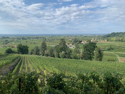 picture of Chateau Pressac St Emilion
 France