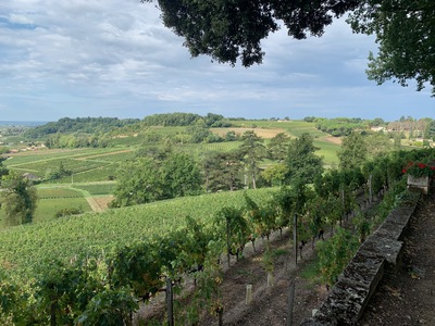 picture of Chateau Pressac St Emilion
 France